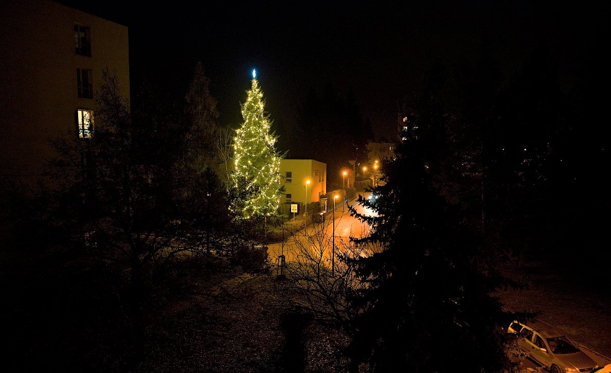 Vánoční strom na Starém sídlišti